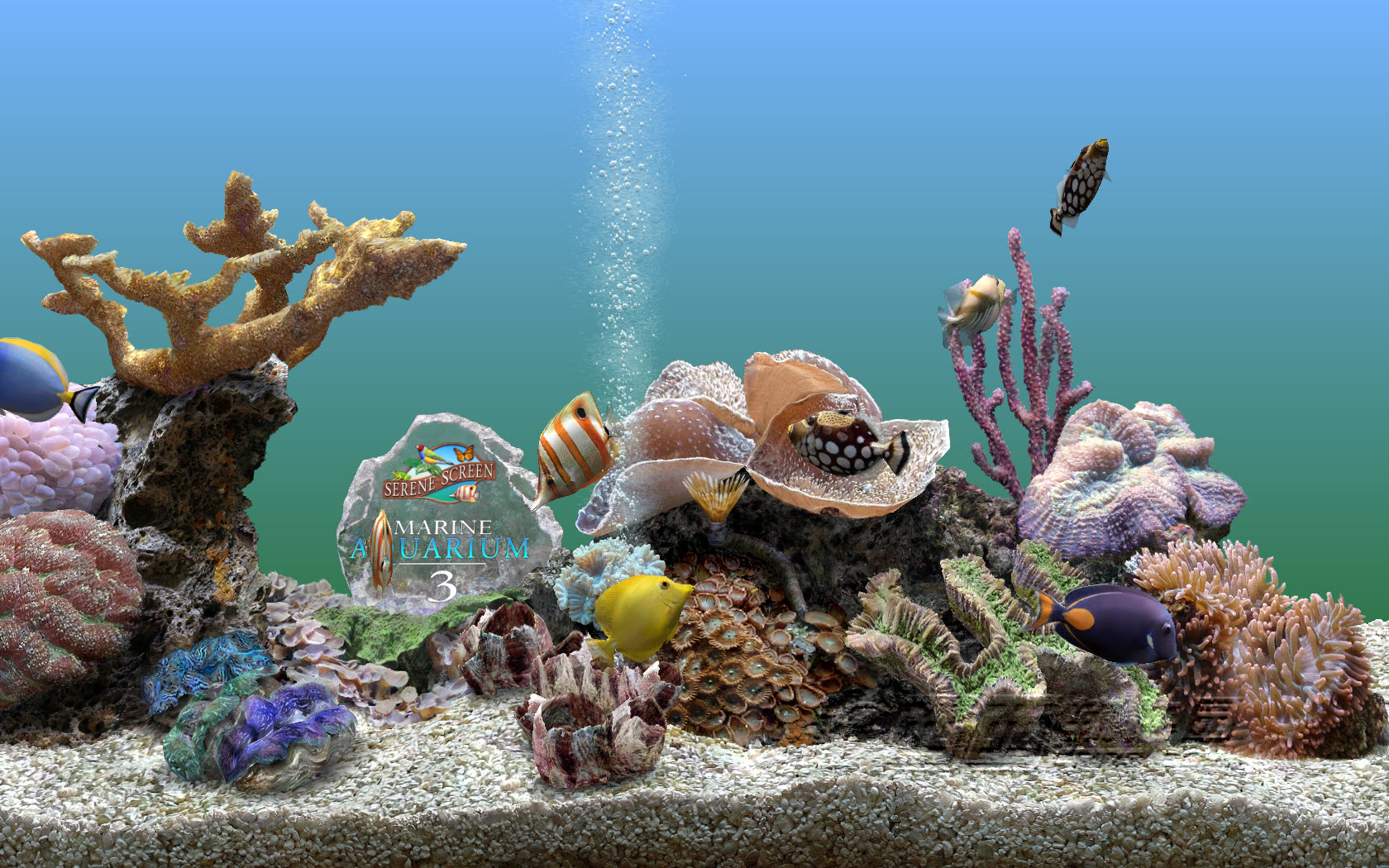梦幻热带鱼水族箱3d屏保(marine aquarium) v3.2.6025