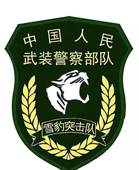 2016年武警部队新式臂章大全 jpg图片免费