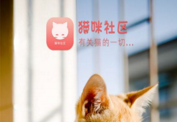 猫咪app社区