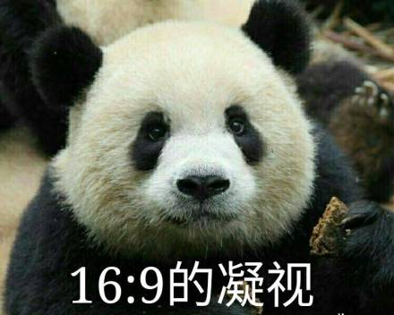 国宝熊猫滚滚元宵节表情包1.0 最新版
